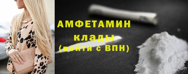 мдпв Пересвет