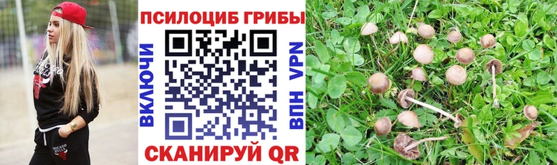 Галлюциногенные грибы ЛСД  Канск 